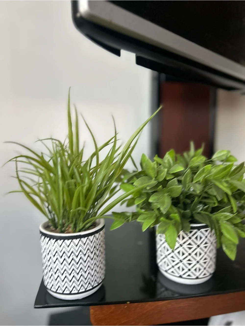 Black and White Patterned Ceramic faux plants  - Set of 2